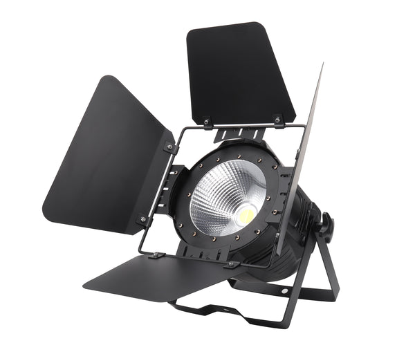 COB LED PAR LIGHT 100W